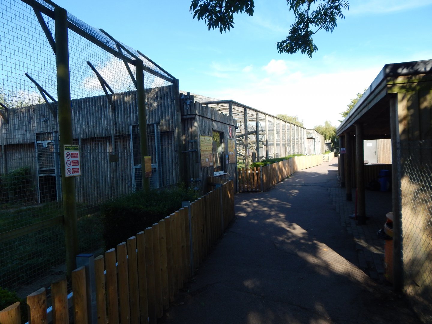 Big cat habitats 030924