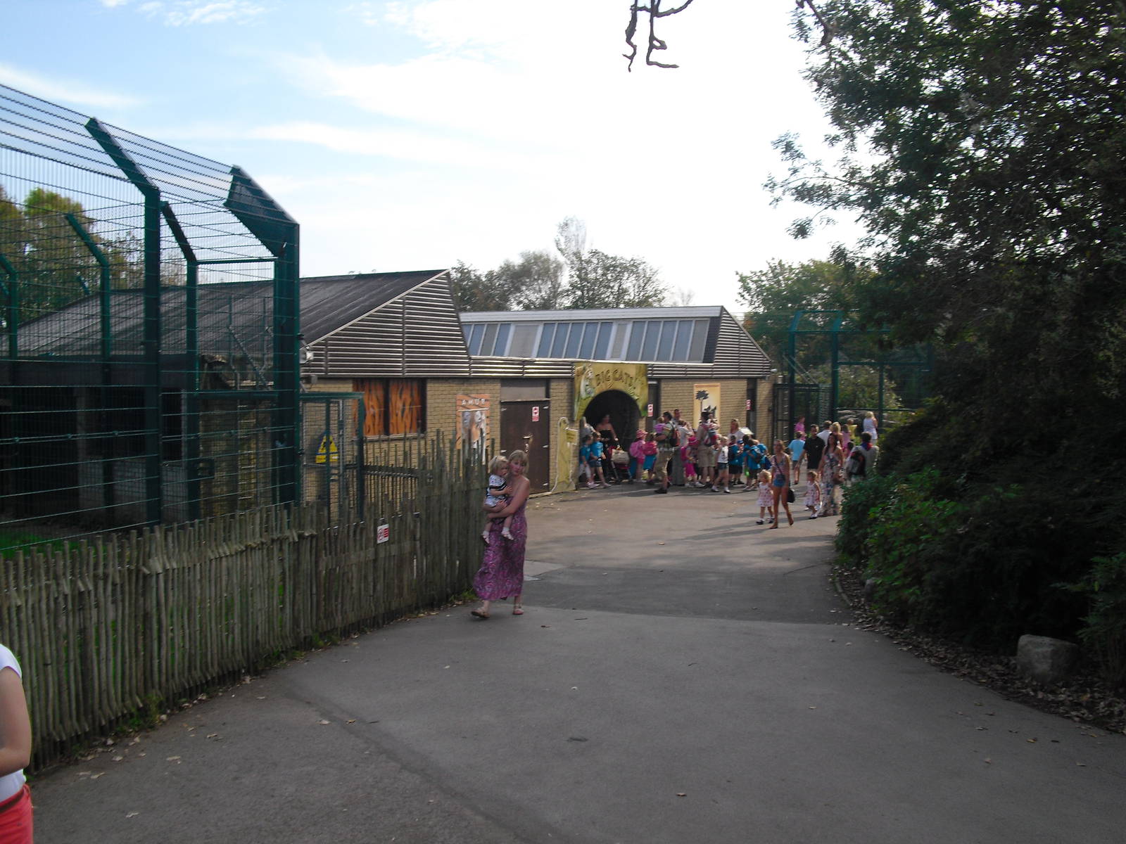 Big Cat House - 01/10/2011