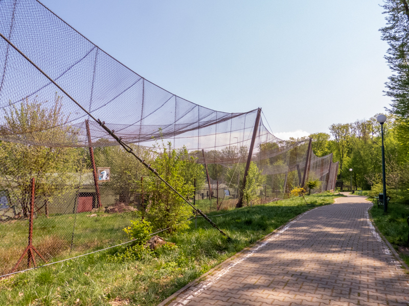 big cat house (and some other animals)