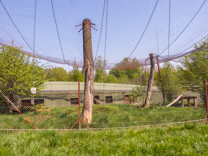 big cat house (and some other animals)
