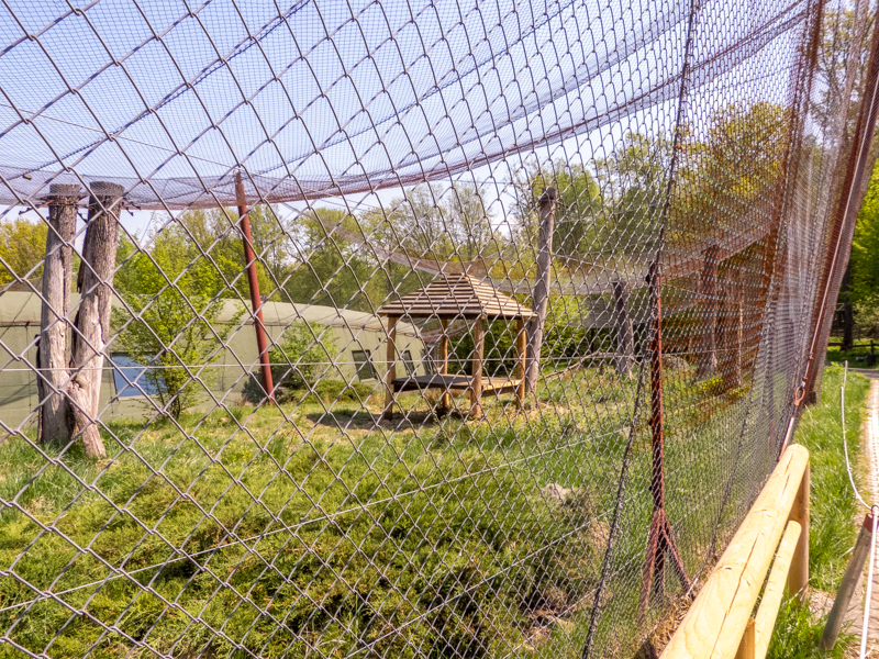 big cat house (and some other animals)