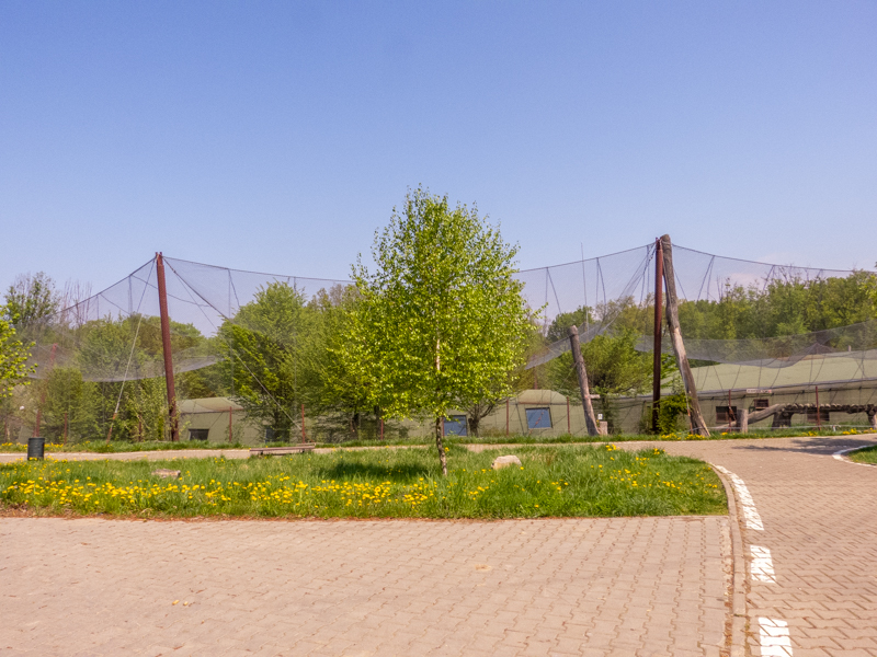 big cat house (and some other animals)