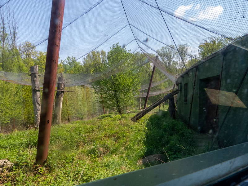 big cat house (and some other animals)