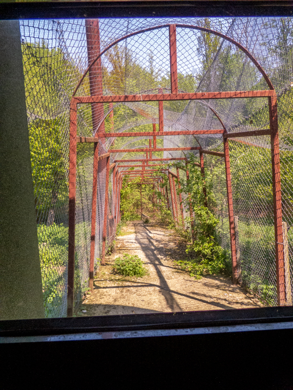 big cat house (and some other animals)