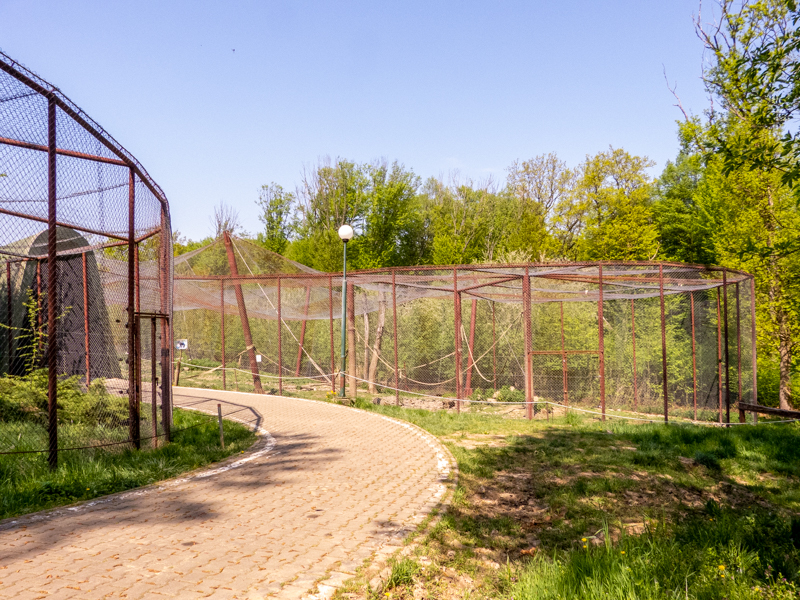 big cat house (and some other animals)