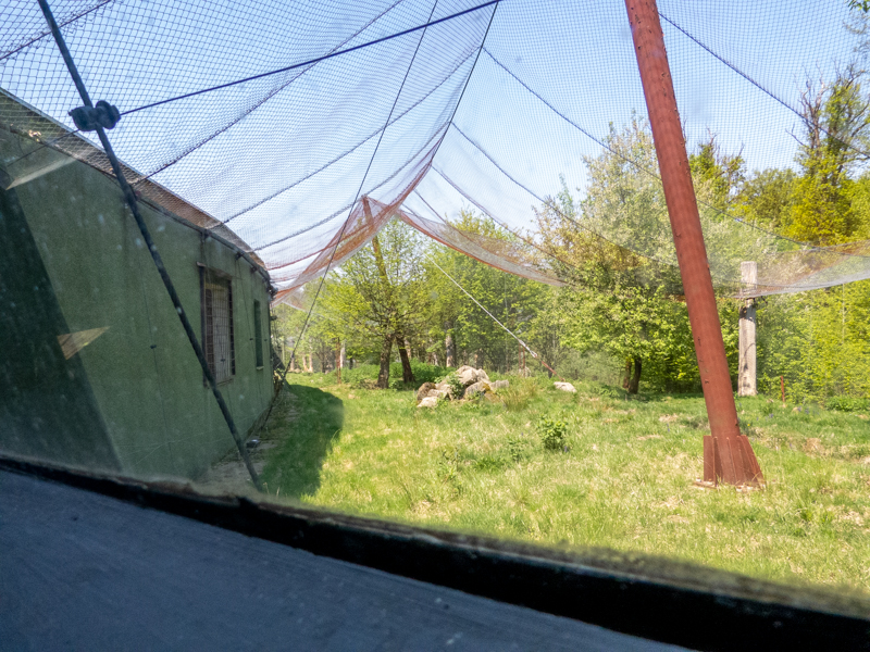 big cat house (and some other animals)