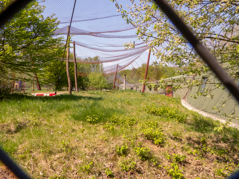 big cat house (and some other animals)