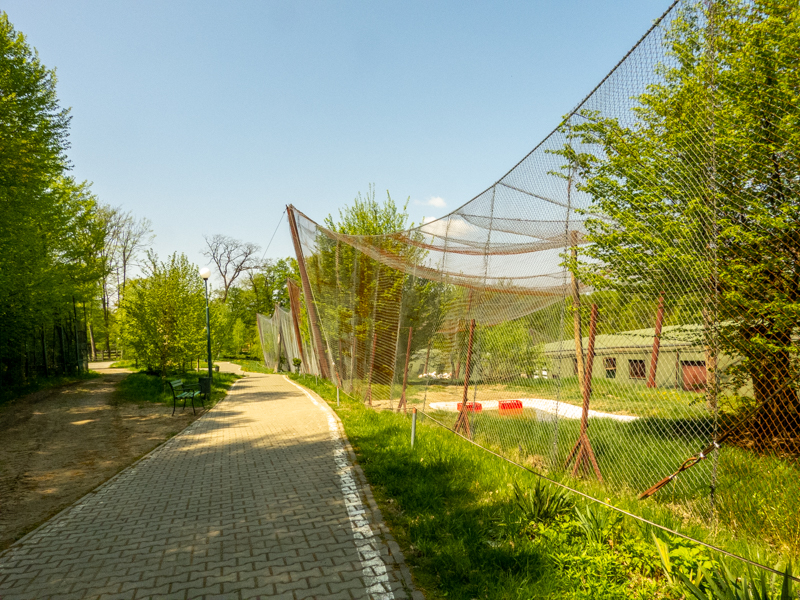 big cat house (and some other animals)