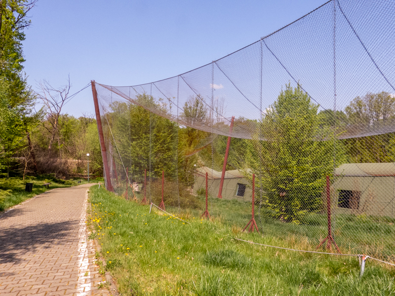 big cat house (and some other animals)