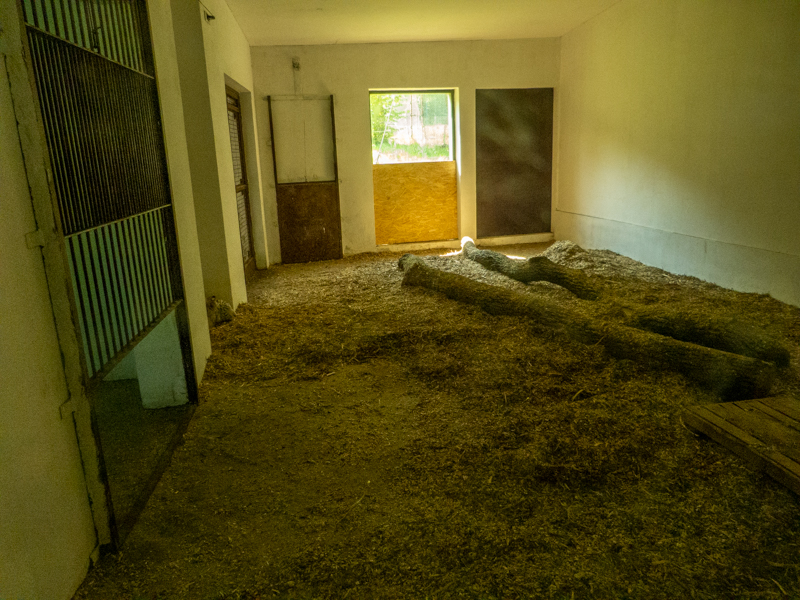 big cat house (and some other animals)