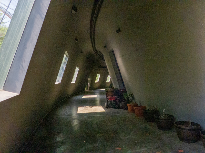 big cat house (and some other animals)