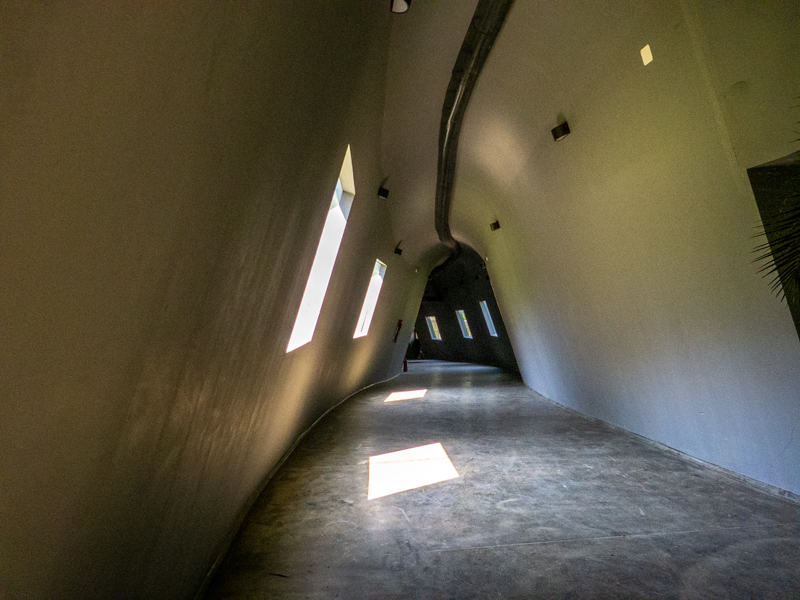 big cat house (and some other animals)