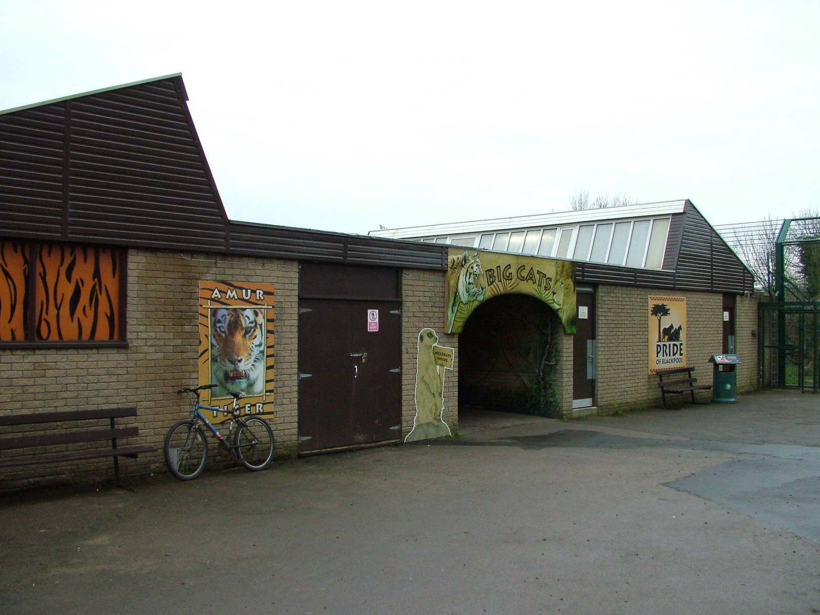 Big Cat House at Blackpool Zoo, Feb 09