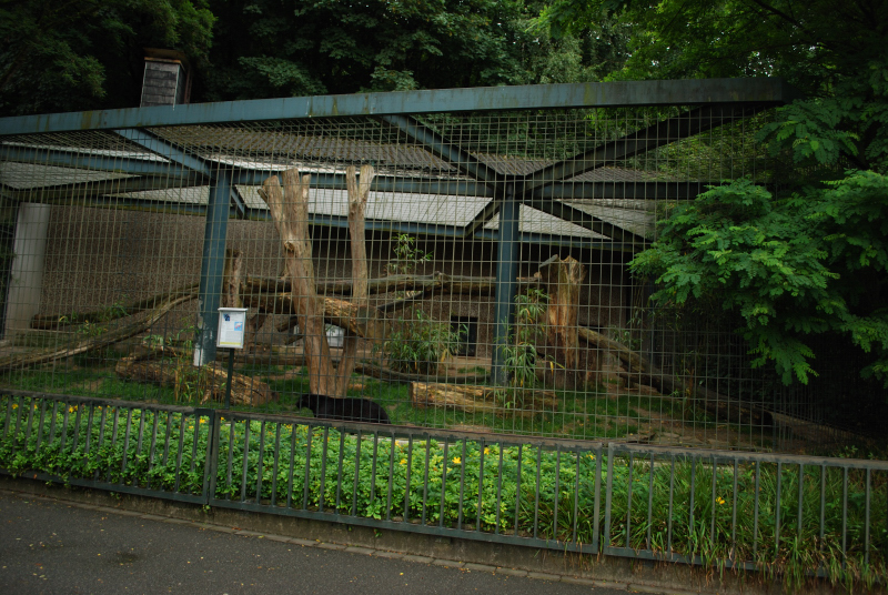 Big Cat house - Black panther cage