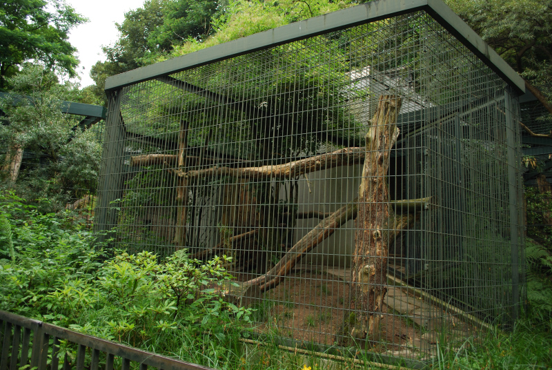 Big Cat house - Cluded leopard outdoor-cage 2