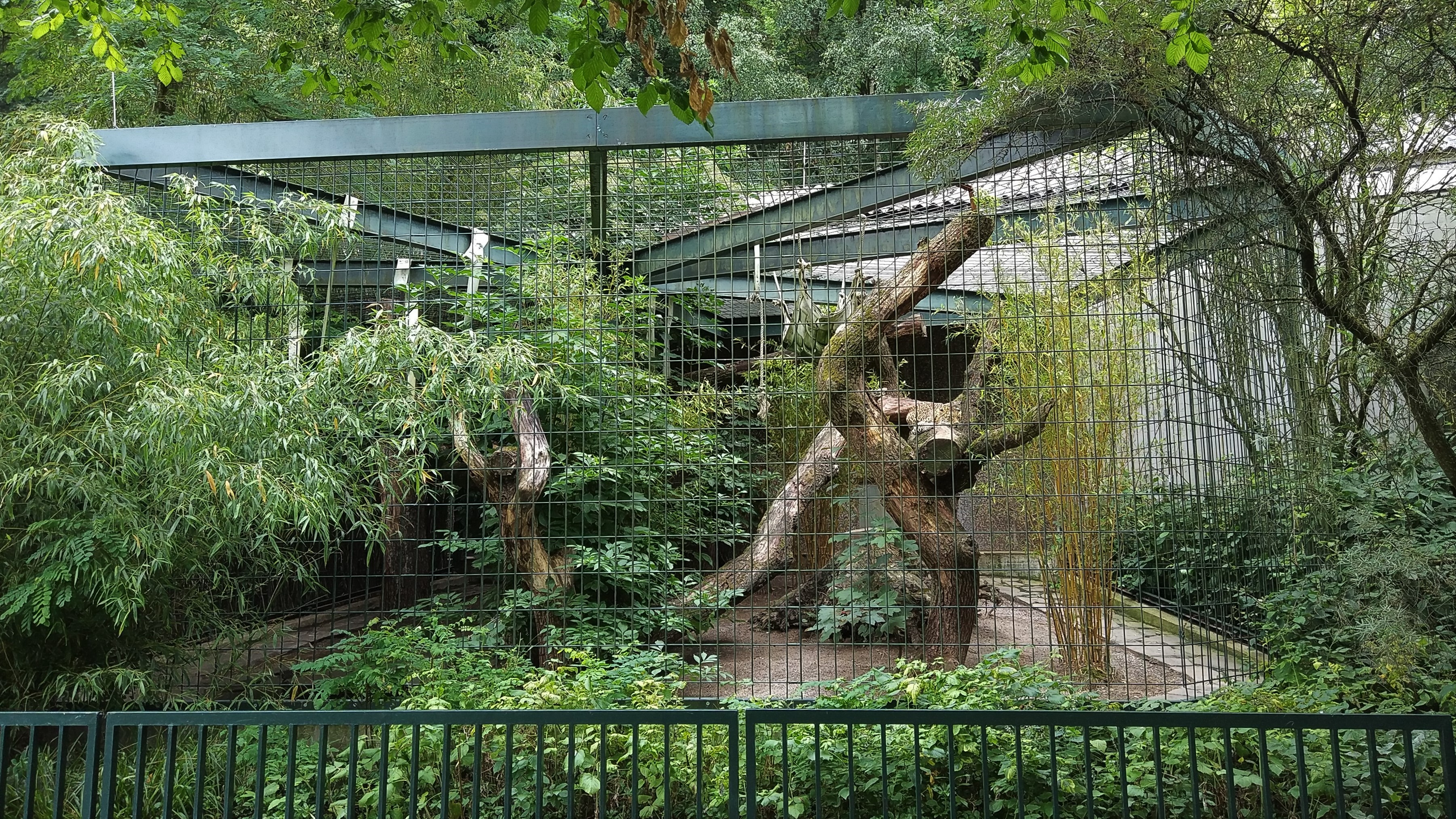 Big Cat House Outdoor Exhibit