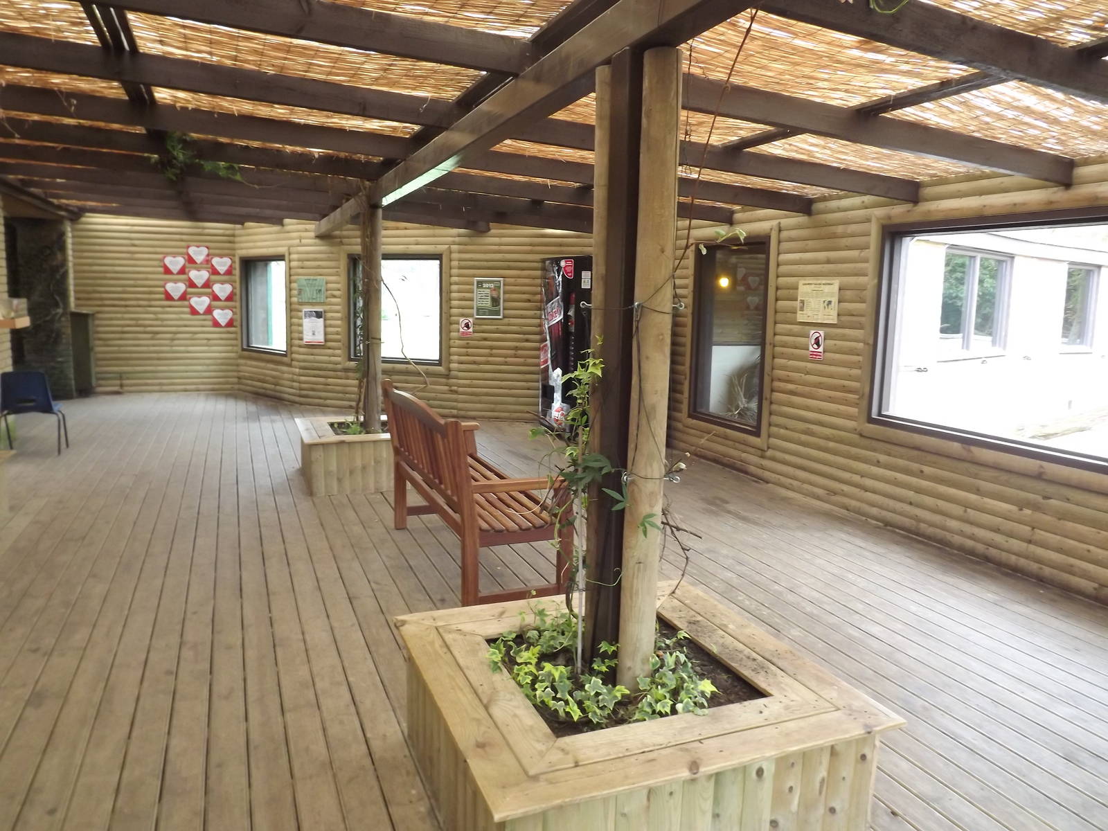Big cat interior at Blackpool Zoo 21/04/12