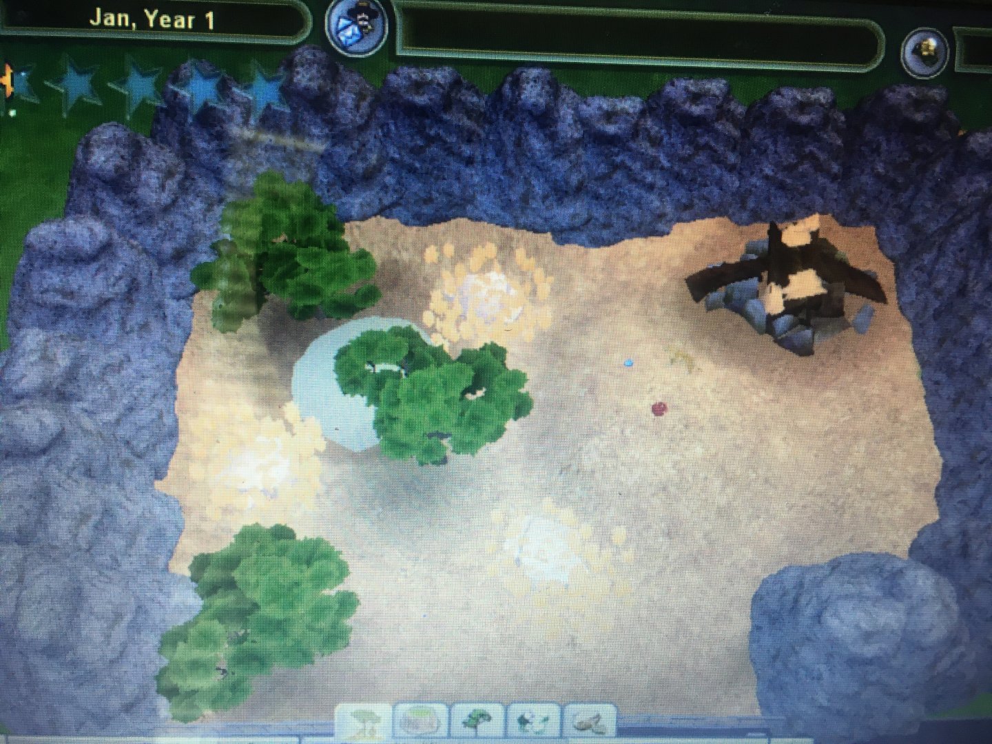 Big Cat Kingdom - African Lion Exhibit