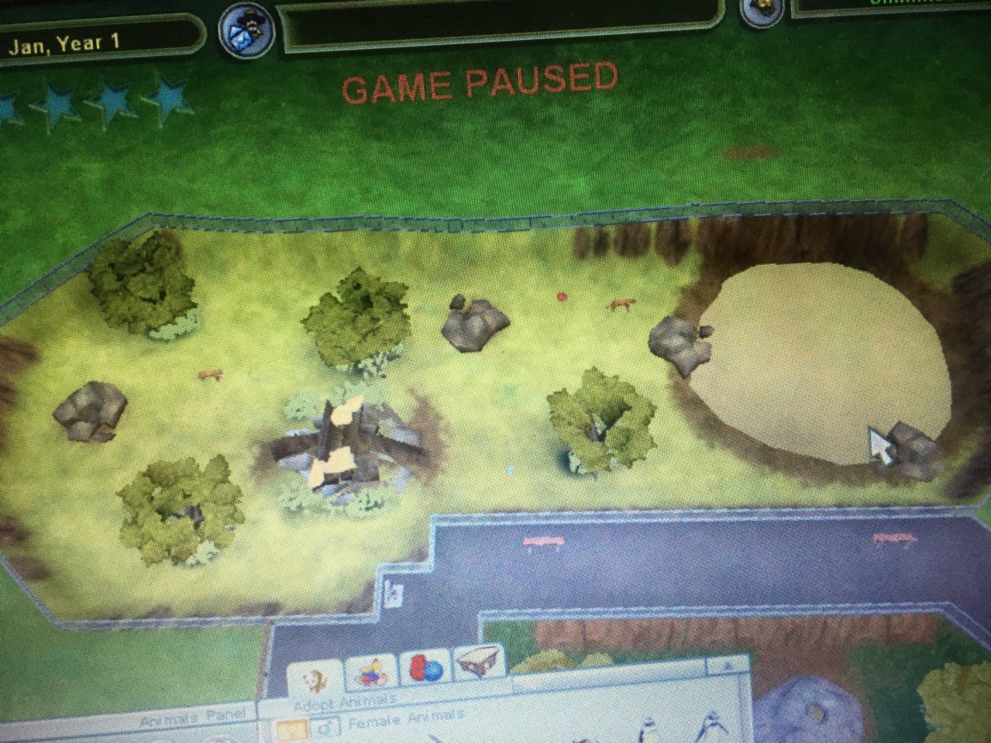 Big Cat Kingdom - Florida Panther Exhibit