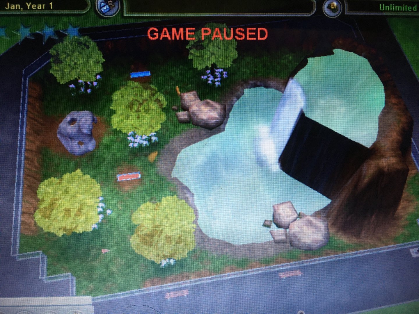 Big Cat Kingdom - Jaguar Exhibit