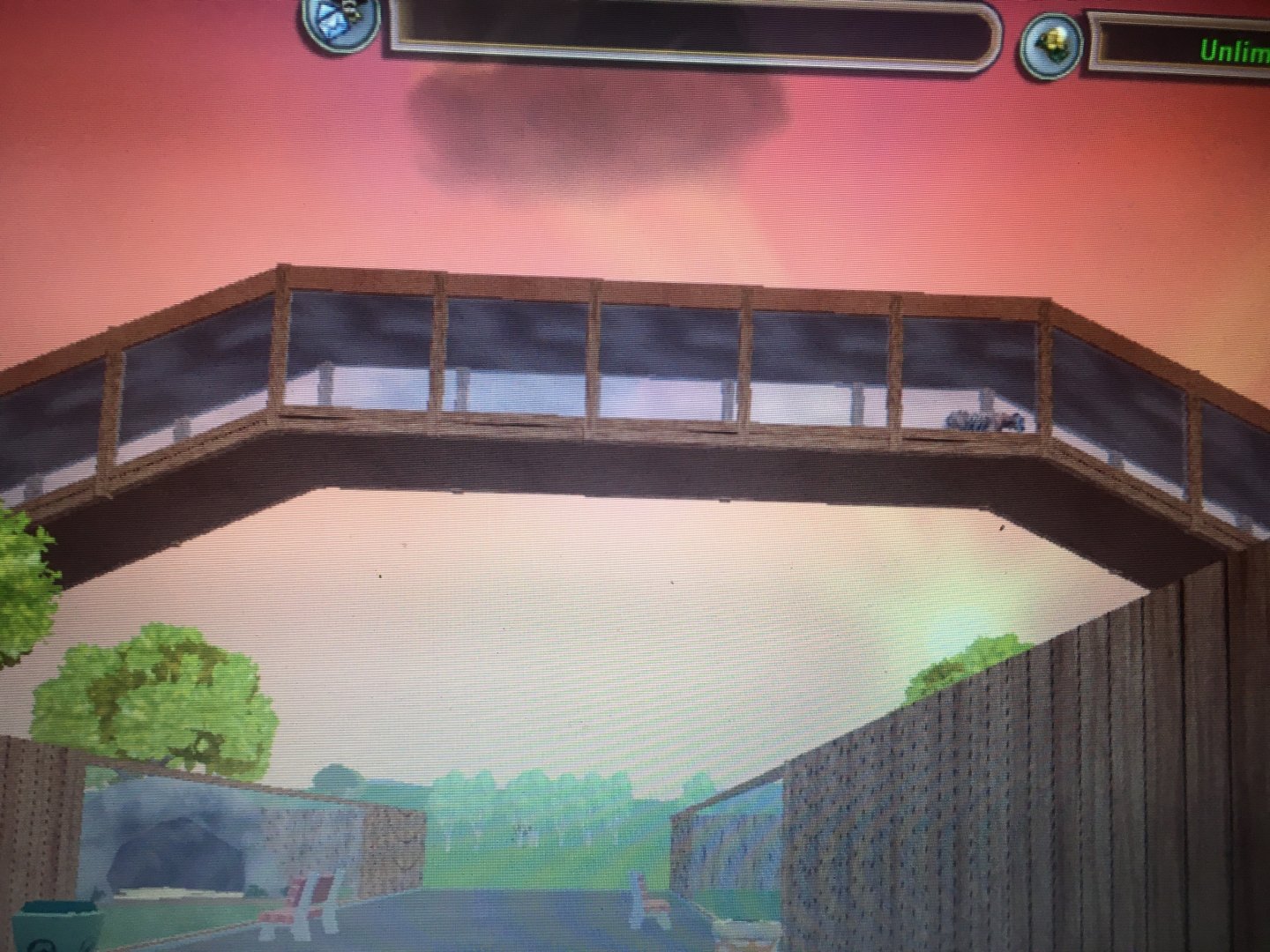 Big Cat Kingdom - Sumatran Tiger Overhead Tunnel