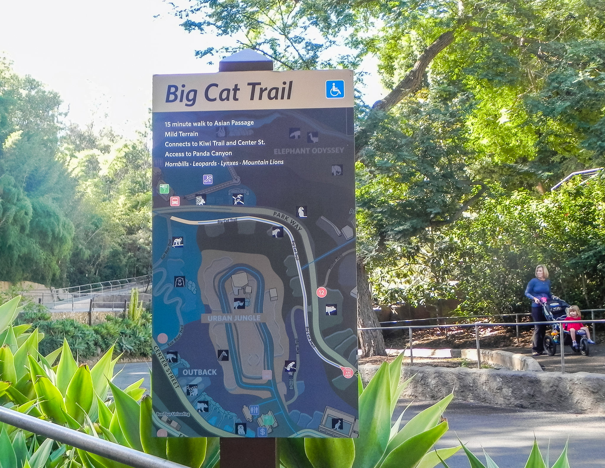 Big Cat Trail 11/13/2013