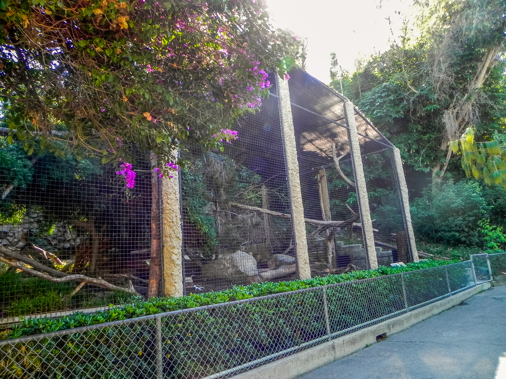 Big Cat Trail 11/13/2013