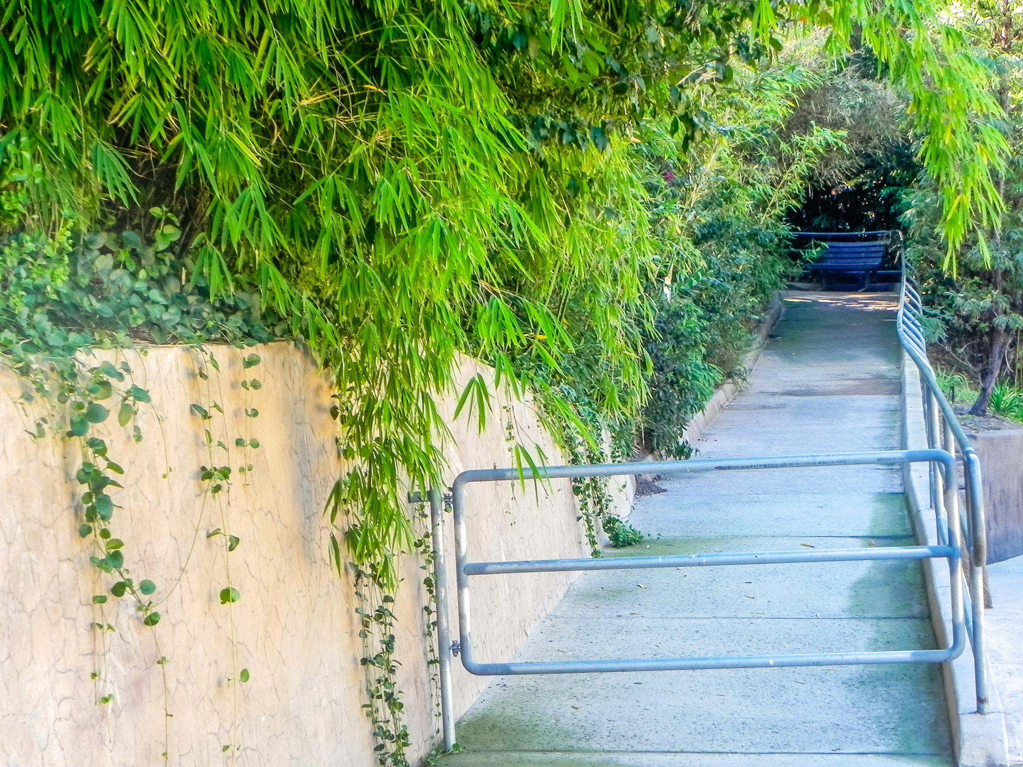 Big Cat Trail 11/13/2013