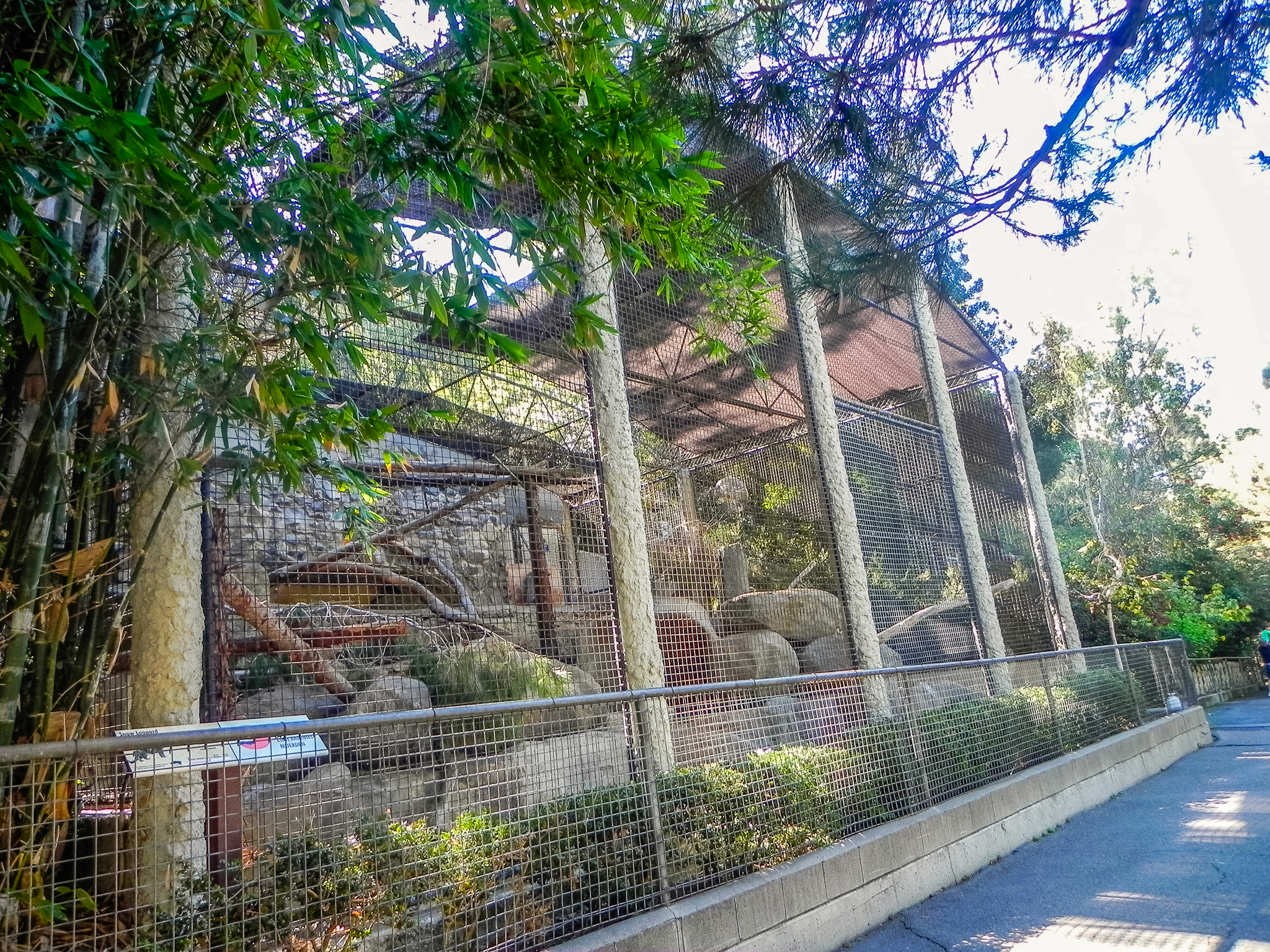 Big Cat Trail 11/13/2013