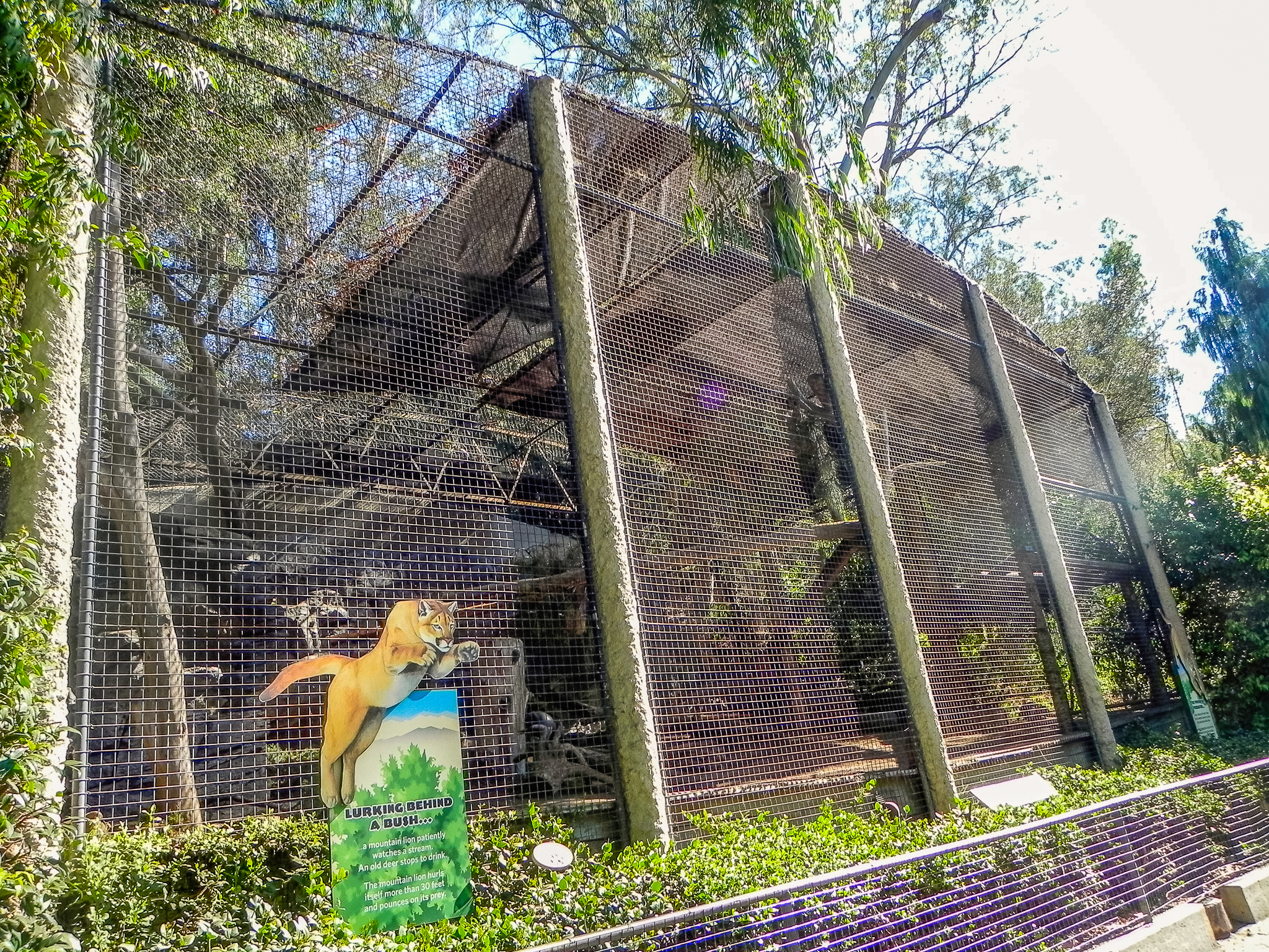 Big Cat Trail 11/13/2013