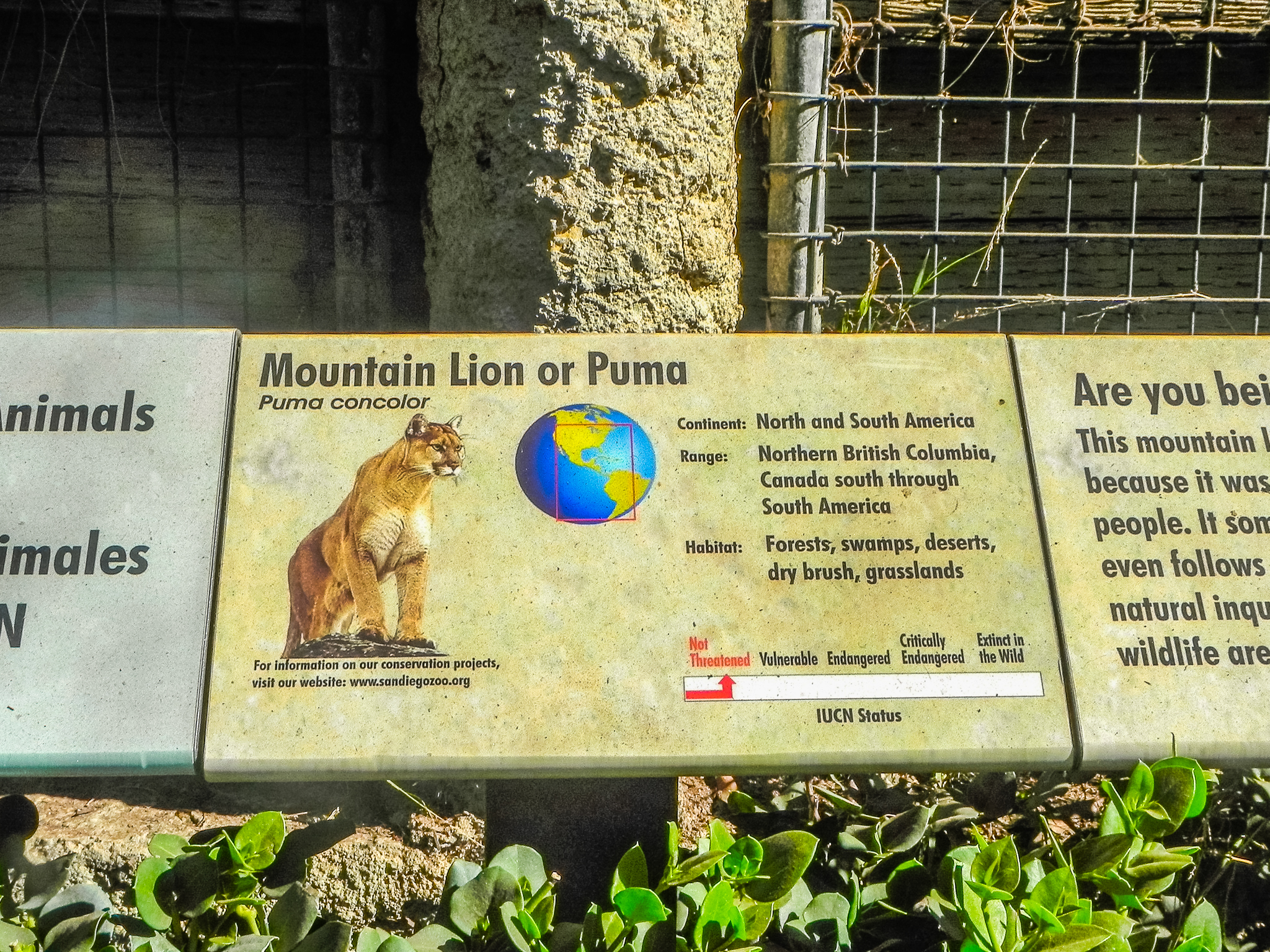 Big Cat Trail 11/13/2013