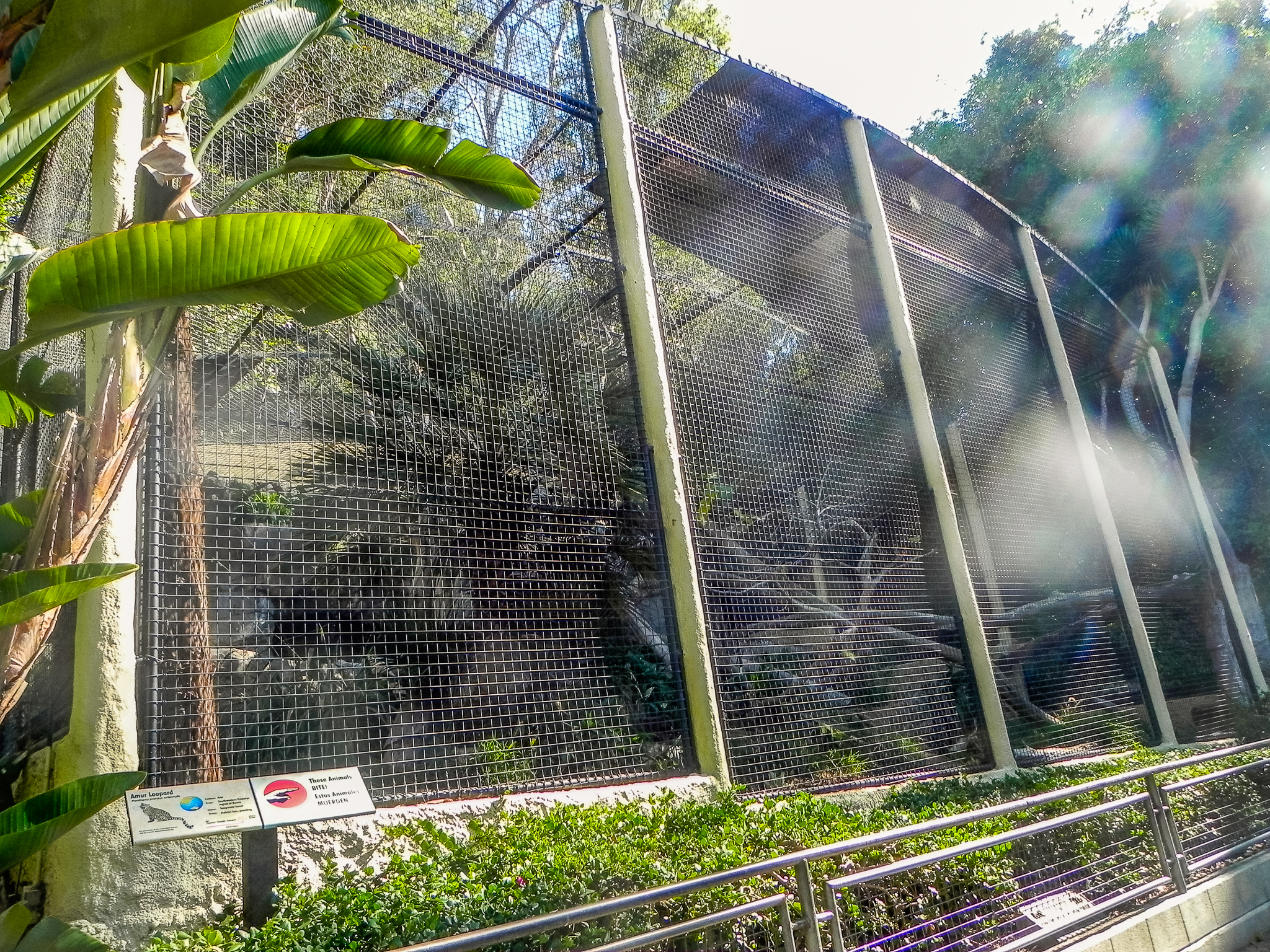 Big Cat Trail 11/13/2013