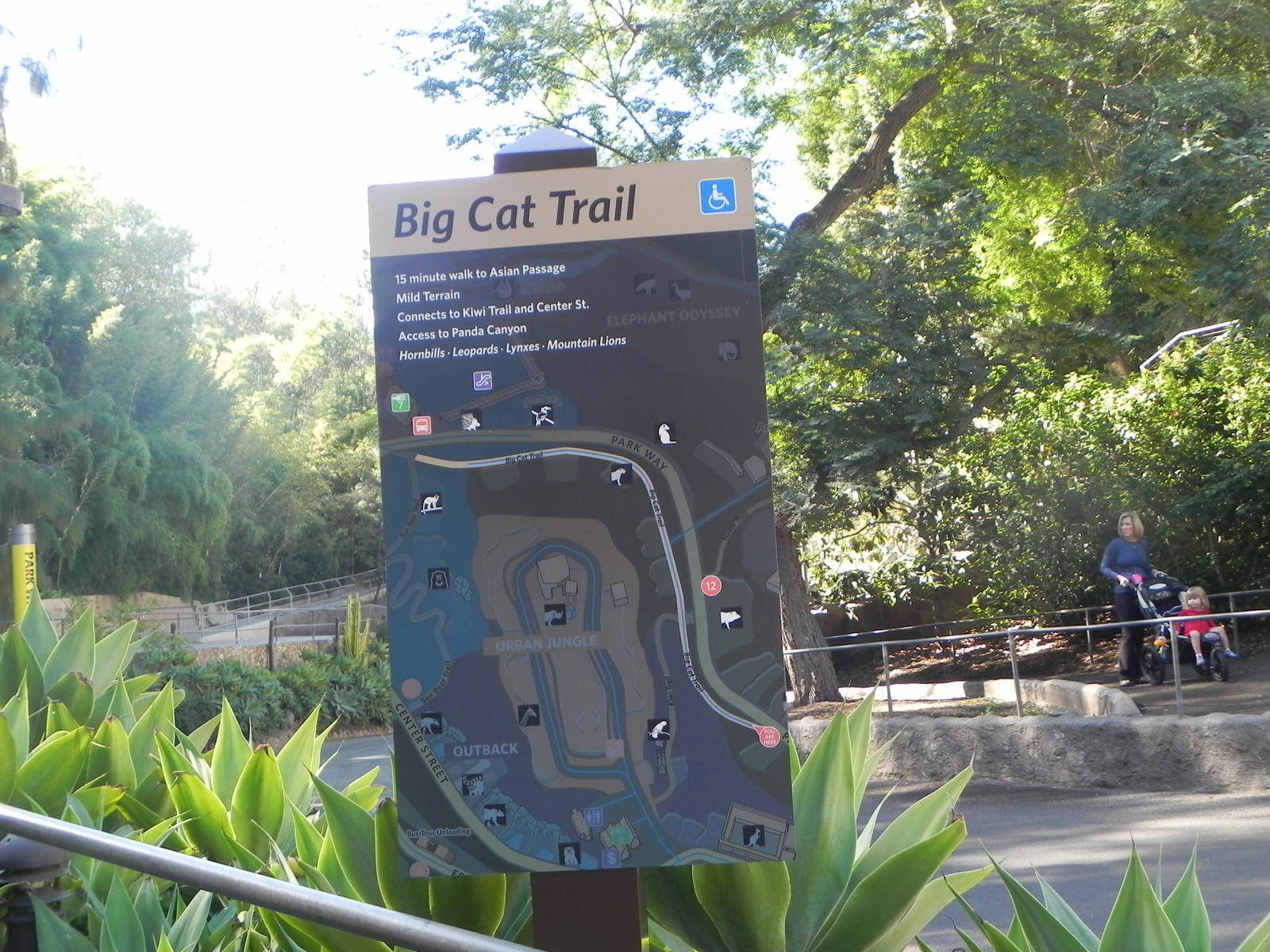 Big Cat Trail