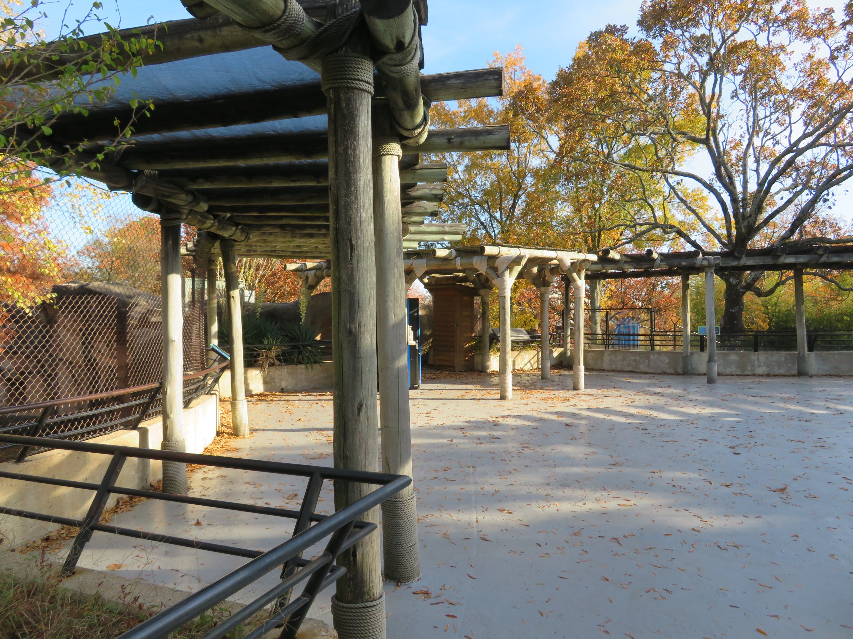 Big Cat Viewing Area