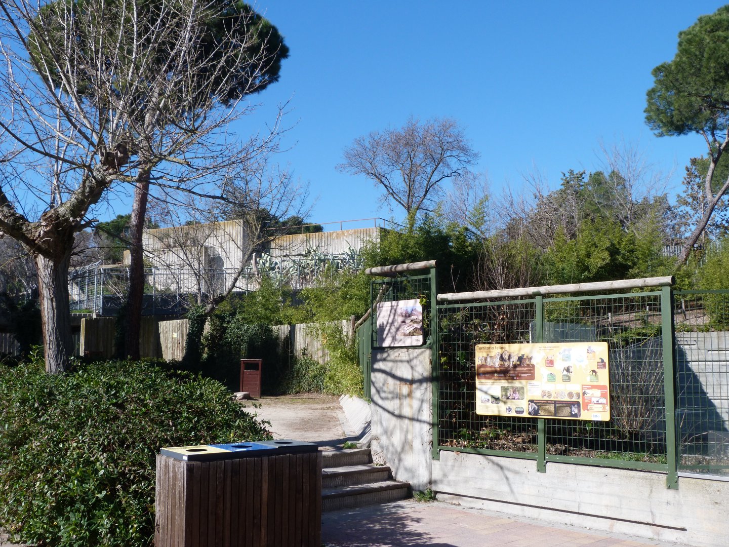 Big cat zone view -Zoo Aquarium de Madrid (2025)
