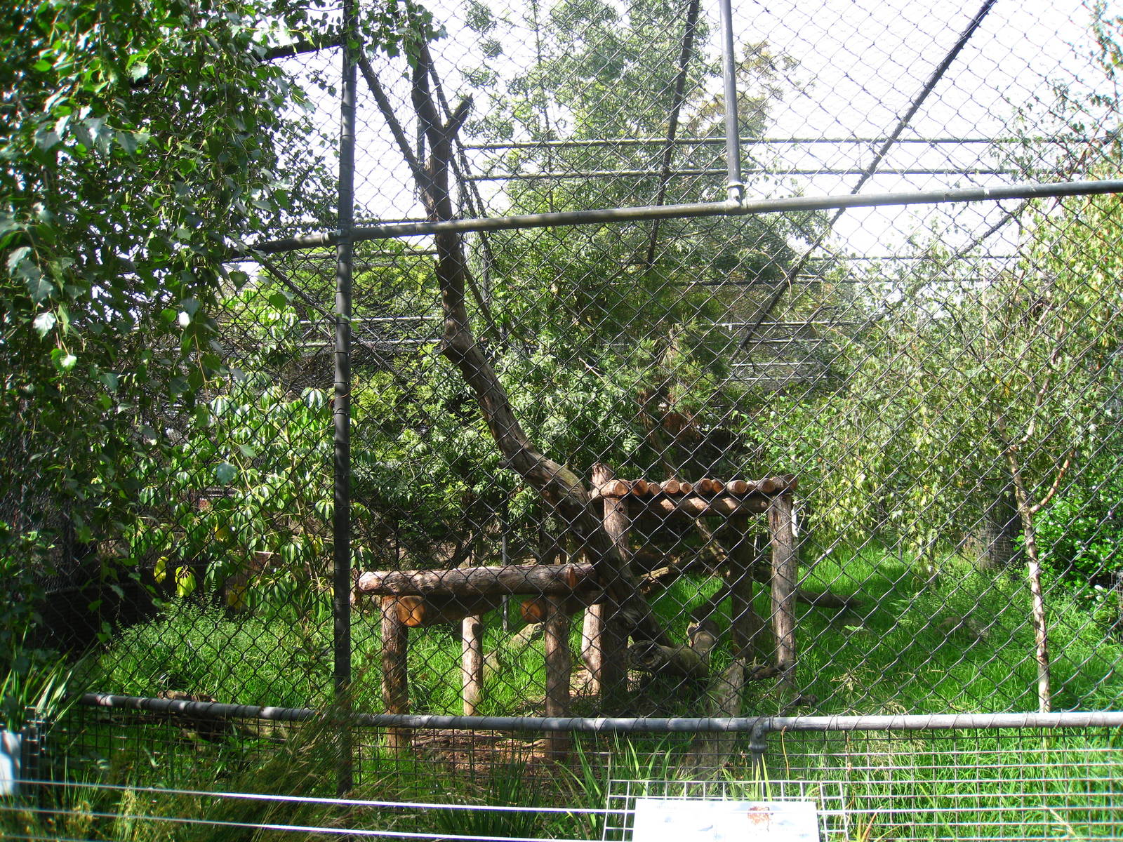 Big Cats cage