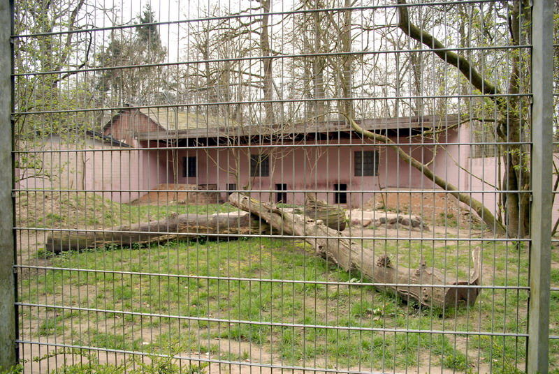Big cats enclosure at Lübeck (now closed)