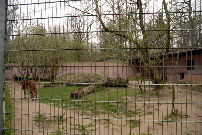 Big cats enclosure at Lübeck (now closed)