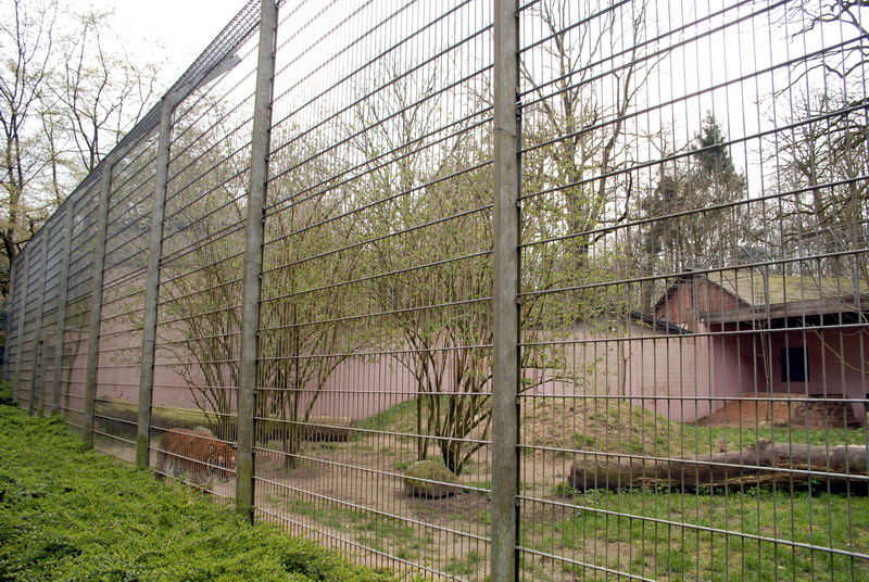 Big cats enclosure at Lübeck (now closed)