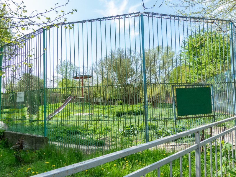 Big enclosure of brown bears