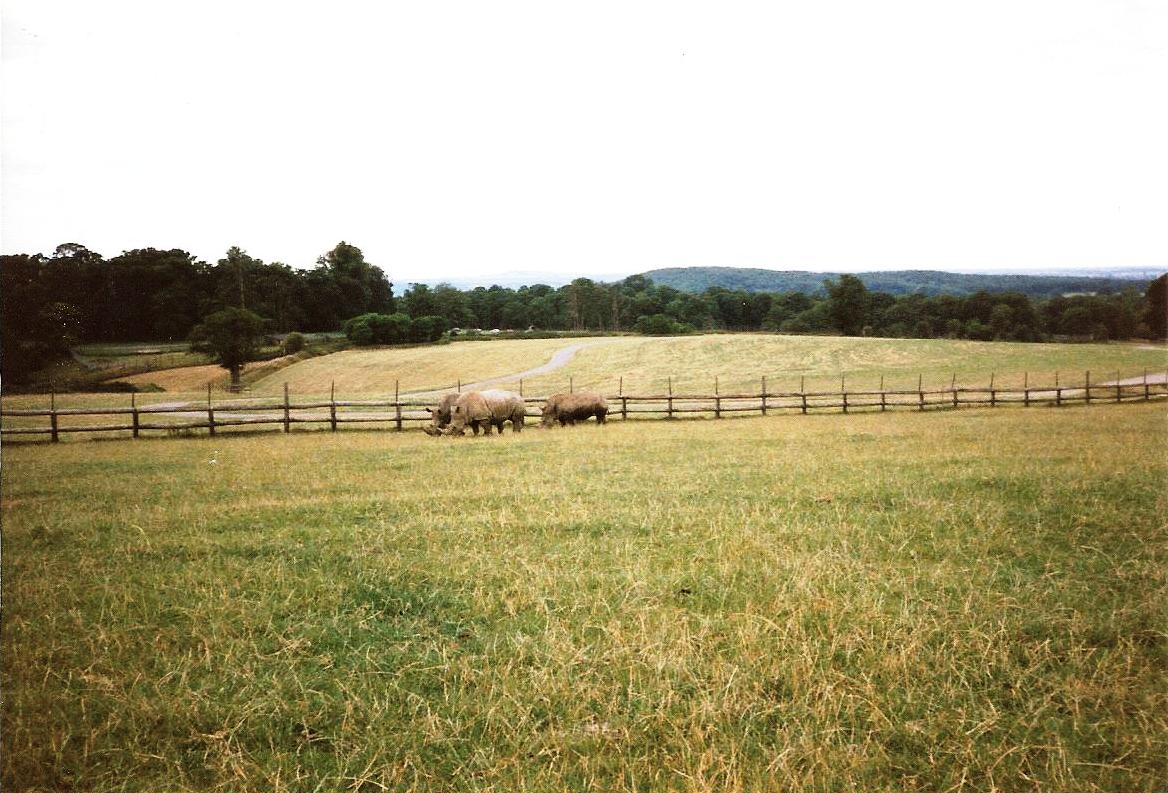 Big Game Park - July 1989