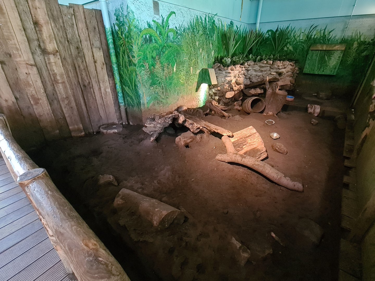 Big hairy armadillo enclosure