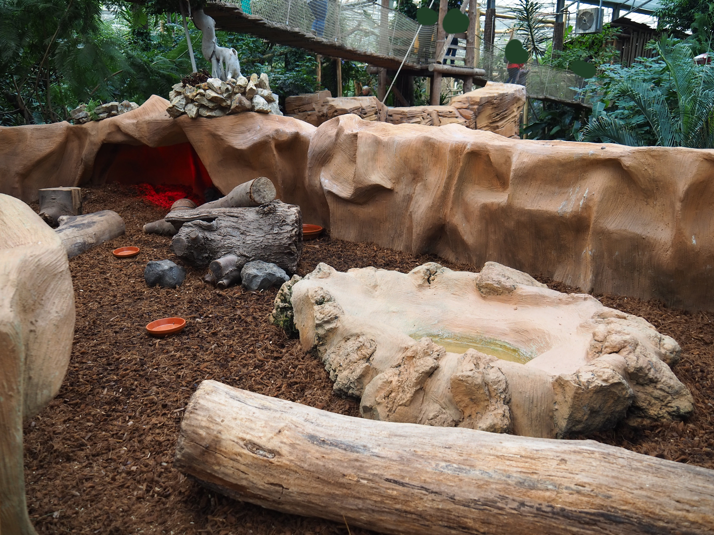 Big hairy armadillo exhibit, 2019-10-05