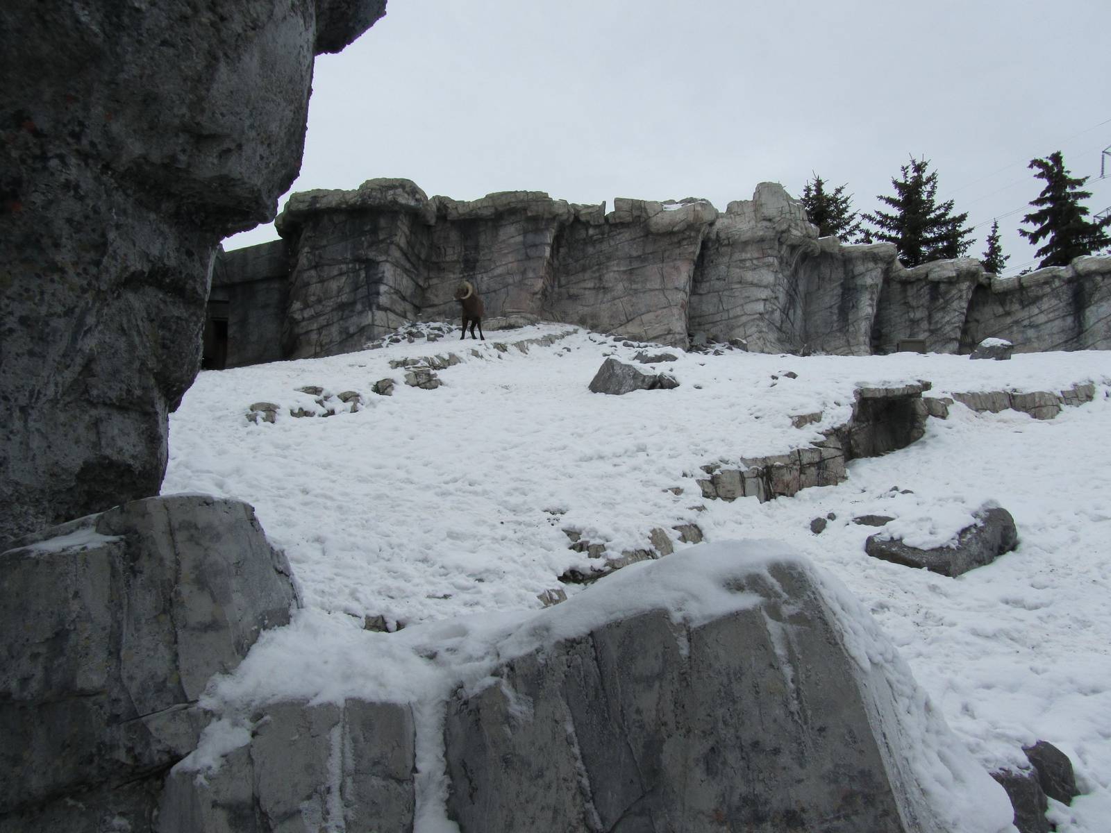 Big horn Exhibit Dec 26