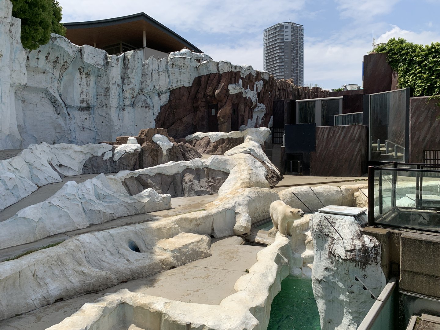 Big Polar Bear Exhibit