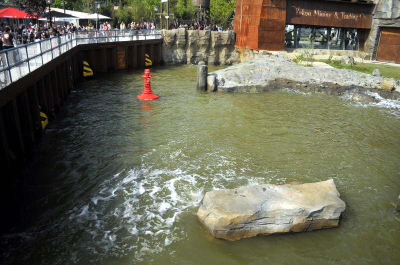Big polarbear enclosure at Hannovers Yukon Bay.