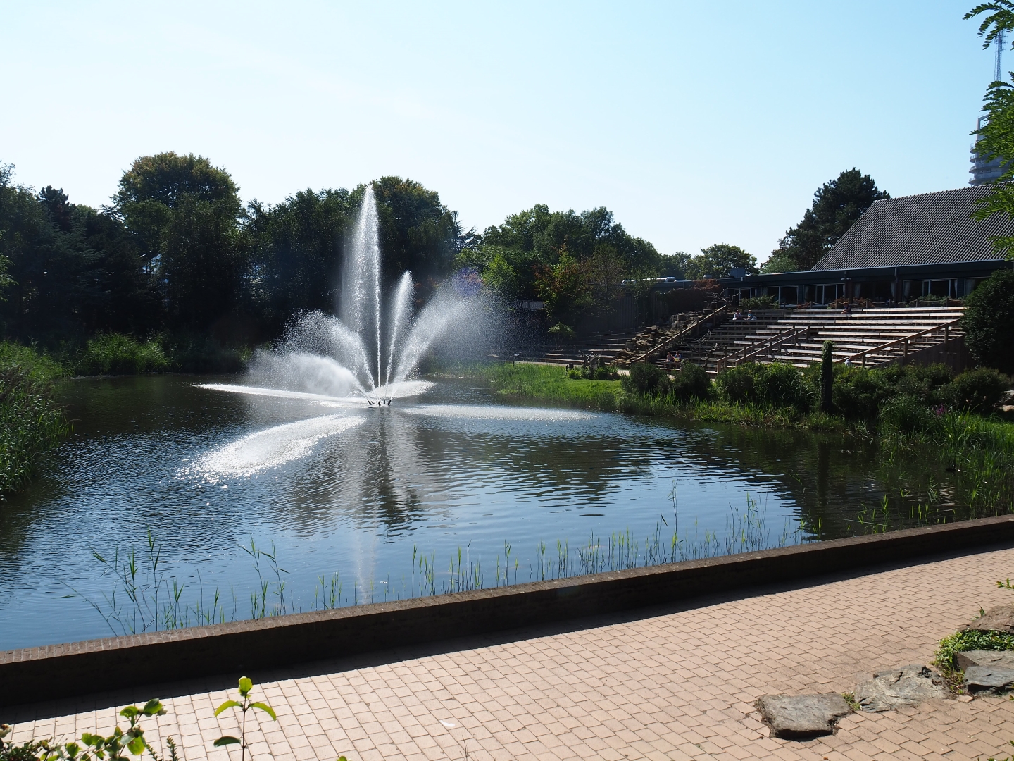 Big pond with big fountains on (Sep 2nd, 2018)