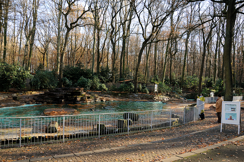 Big seal pool at Dortmund