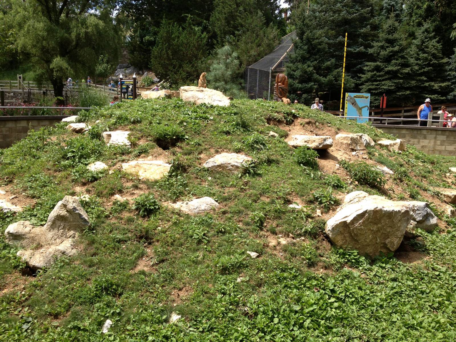 Big Sky Country- Black-Tailed Prairie Dog Exhibit