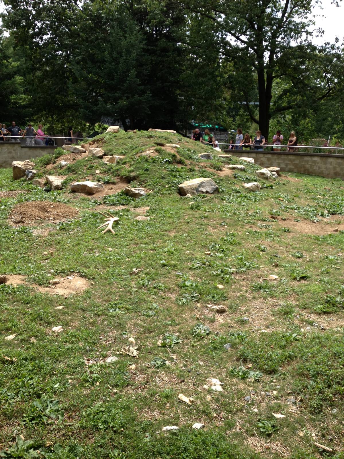Big Sky Country- Black-Tailed Prairie Dog Exhibit